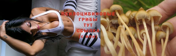 мескалин Абинск